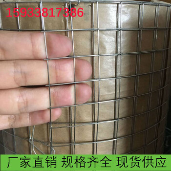 電焊網(wǎng)廠家/鍍鋅電焊網(wǎng)/保溫電焊網(wǎng)/改拔電焊網(wǎng)