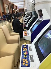 苏州娃娃机奋斗小鸟出租篮球机大力锤海洋池南京出租