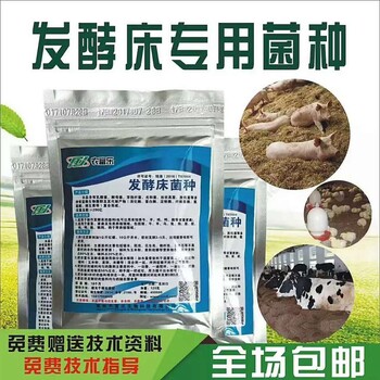 猪圈里面氨气味很刺鼻用发酵床改善圈舍环境