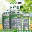 降低鱼塘氨氮含量的em菌液价格是多少？图片