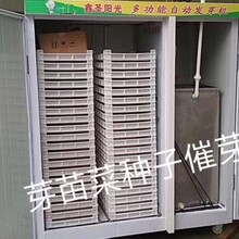 鑫圣陽光廠家直銷72P全自動芽苗菜催芽機圖片