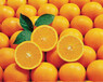 橙子酒的酿制方法-酿酒技术