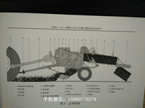 克拉斯大方捆打捆机图片0