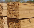 北京房山批發租賃回收建筑木方建筑竹膠板木模板木架板建筑方木