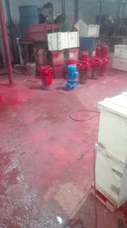 室外消防喷淋泵/喷淋泵流量/喷淋泵转速/喷淋泵扬程图片4