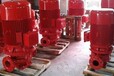 室内立式消防泵XBD11.9/18-100L自动喷淋泵稳压泵