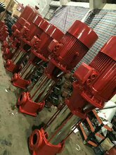 上海品牌水泵有消防泵喷淋泵稳压泵消火栓泵供应图片