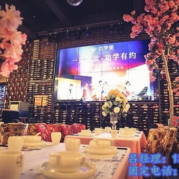 投资桃花洛音乐餐厅会获得什么支持？开店潜力大吗