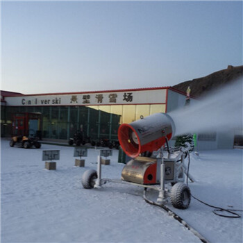 造雪机厂家质量服务人工造雪机室内外通用造雪