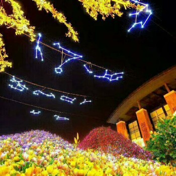 燈光節(jié)廠家布展出售燈光節(jié)締造夢幻之夜