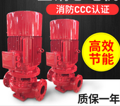上海登泉水泵XBD8.1/100G-L消防泵160KW室外消火栓泵新标CCCF认证