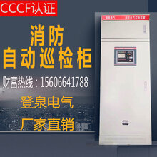 浙江登泉CCCF消防自动巡检装置/55KW低频巡检/智能数字巡检柜图片