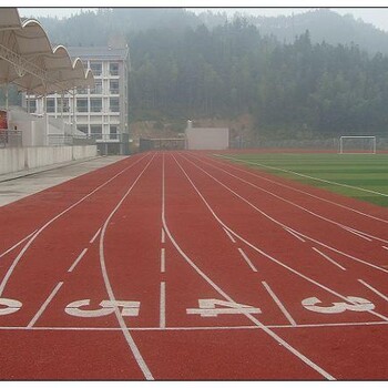 河北华飞塑胶跑道草坪