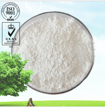 供应食品添加剂透明质酸钠9004-61-9