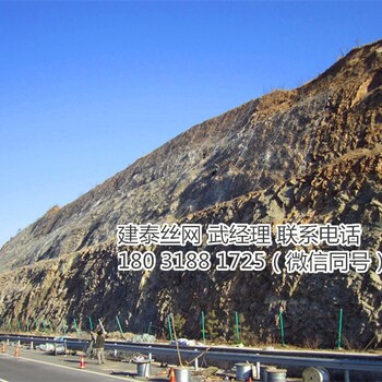 安平鐵路柔性防護(hù)網(wǎng)價(jià)格