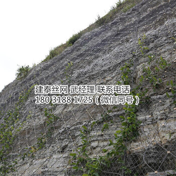 建泰主動(dòng)防護(hù)網(wǎng)批發(fā)價(jià)格