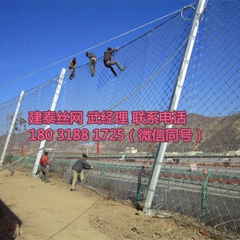被動(dòng)邊坡防護(hù)網(wǎng)生產(chǎn)廠家