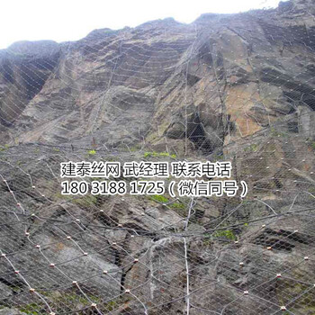 重慶主動(dòng)防護(hù)網(wǎng)廠家