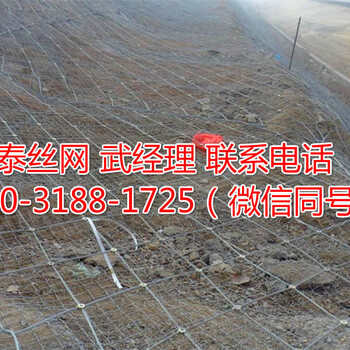 sns被動(dòng)邊坡防護(hù)網(wǎng)廠家