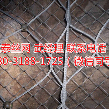 主動邊坡防護(hù)網(wǎng)多少錢