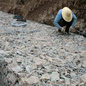 雷诺护垫多钱