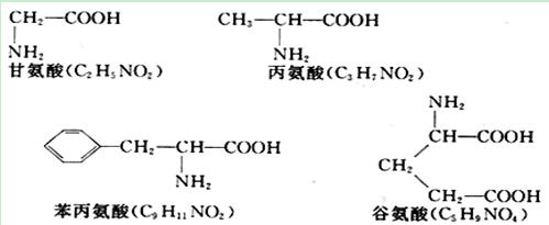 湖南谷氨酸效果怎么樣