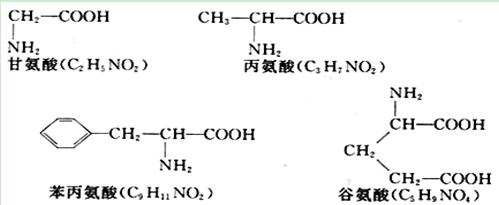 湖南谷氨酸效果怎么样