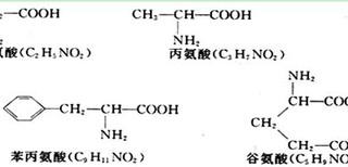 图片0