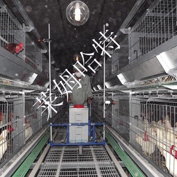 LS-12B笼养鸡喷雾机动物设备莱姆哈特