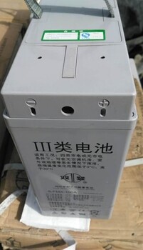 山东Shoto双登蓄电池6-FMX-100A(东营)狭长系列