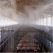黄冈市养猪场自动喷雾消毒设备生产厂家