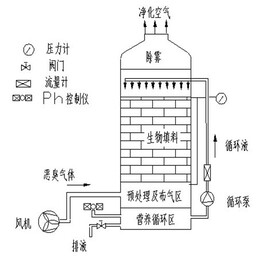 图片0