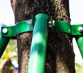 佛山厂家直销园林苗木铁管支撑架园林树木调整形防倒树木支撑杆