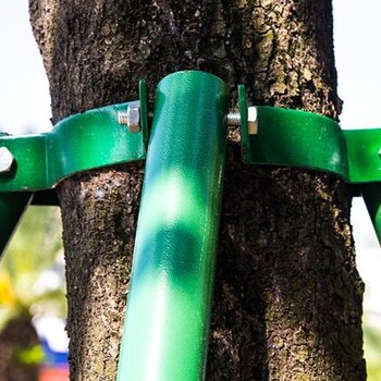 佛山厂家园林苗木铁管支撑架园林树木调整形防倒树木支撑杆
