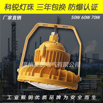 KRE6030B防爆LED泛光燈,60WLED防爆燈