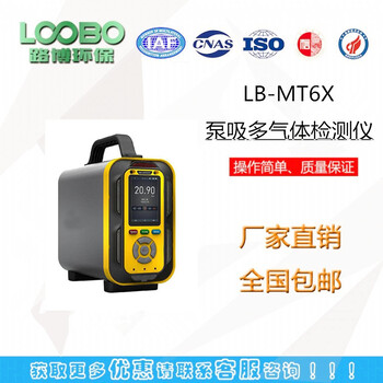 多种气体检测LB-MT6X泵吸手提式气体分析仪