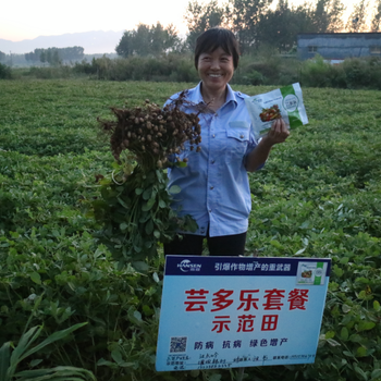 蕓多樂套餐，花生水稻用高產(chǎn)套餐
