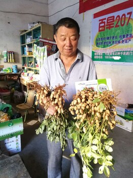 作物高產(chǎn)套餐蕓多樂(lè)瀚小福瀚森農(nóng)業(yè)