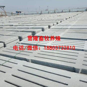 欧式漏粪板模具淮北水泥漏粪板模具2.4米漏粪板模具销售水泥漏粪板模具