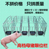 母猪限位栏猪用定位栏养猪用设备