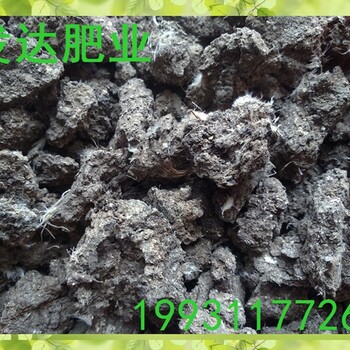 山東哪里有賣純雞糞有機(jī)肥的廠家？山東批發(fā)干雞糞發(fā)酵羊糞價(jià)格