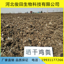 福建干鸡粪哪里有卖?福建干鸡屎一吨有多少方?图片