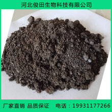 海南发酵羊粪多少钱一吨海南发酵羊粪批发图片
