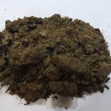 福建三明干牛粪块在哪里买?三明干牛粪块有机肥质量好的有哪家图片