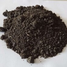 福建泉州批发发酵羊粪牛粪福建泉州有批发发酵羊粪的吗图片