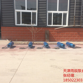 天津大流量卧式潜水泵厂家雨辰泵业