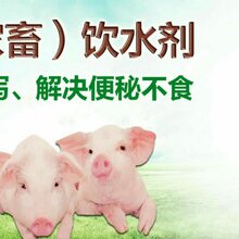 小猪拉稀用什么药最快预防仔猪拉稀催肥增重母猪便秘图片