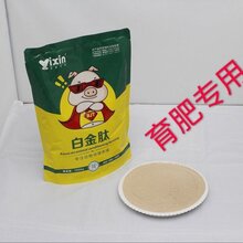 猪快速催肥增重方法猪怎么养才长得快怎么给猪催肥图片