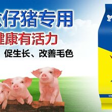 育肥猪“白金肽”催肥白金肽,少生病,提前出栏图片