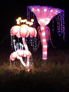 太原大型夢幻燈光藝術(shù)節(jié)工廠